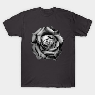 Charcoal Rose Drawing T-Shirt